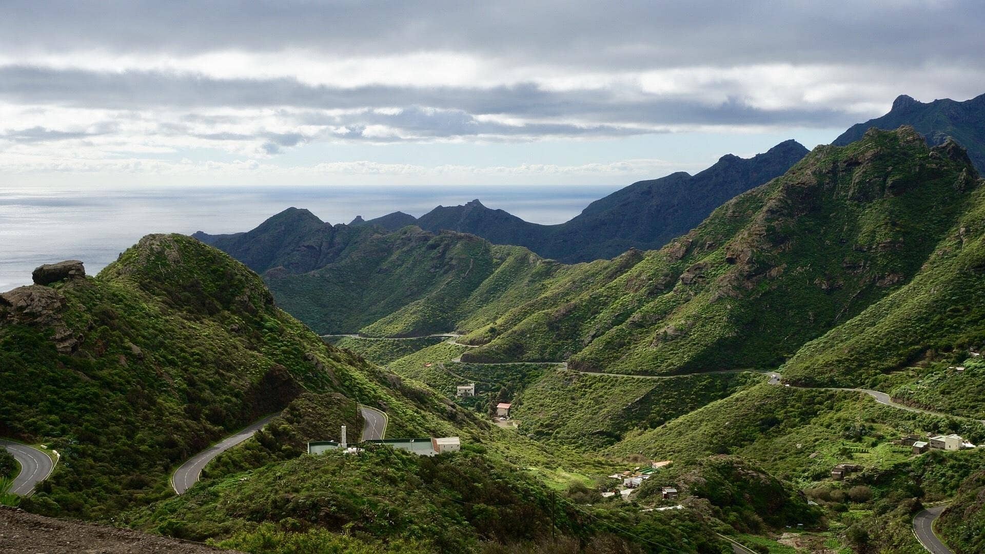 Forêt d'Anaga