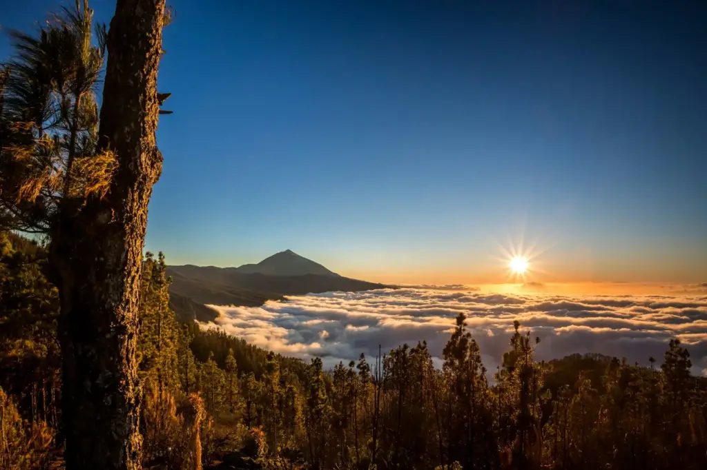 Le soleil sur la mer de nuages, le Teide au loin, vu depuis la forêt de pins
